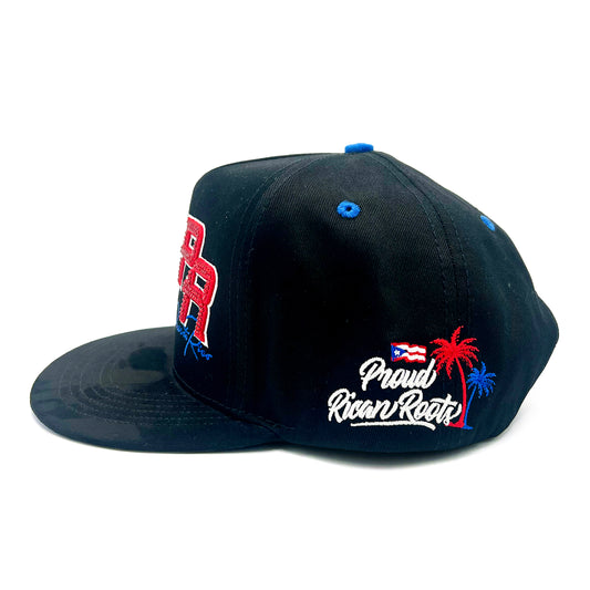 NY/PR - M Baseball Hat