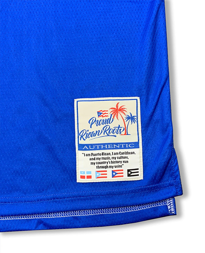 New York Ricans logo jersey