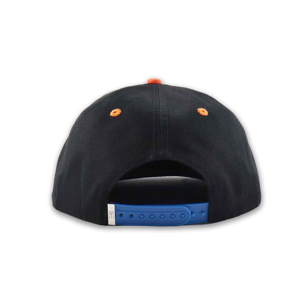 NY Ricans script Hat